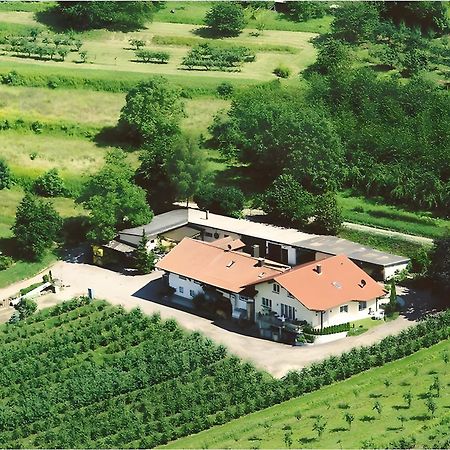 Weingut Ringwald Apartamento Herbolzheim Exterior foto