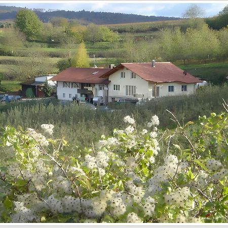 Weingut Ringwald Apartamento Herbolzheim Exterior foto